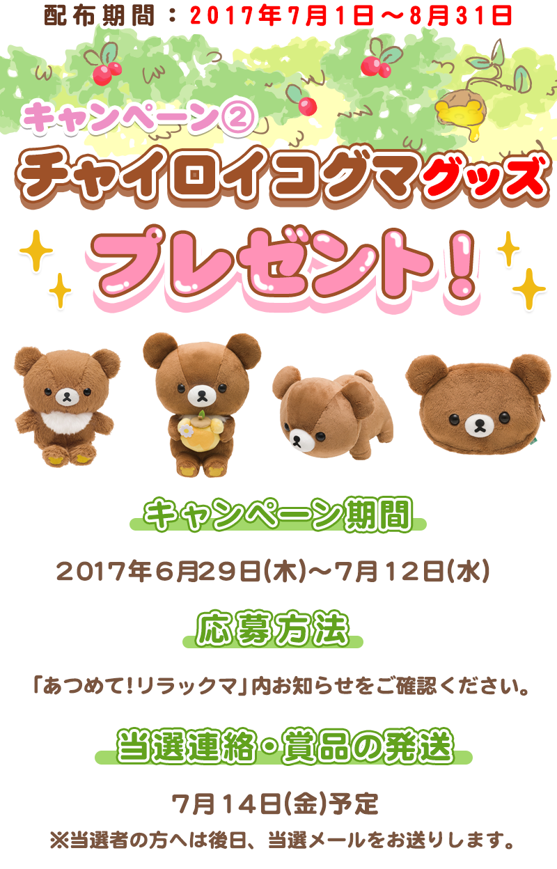 チャイロイコグマ応募要項