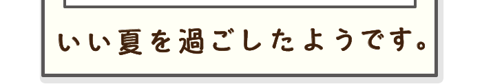 フレーム下段